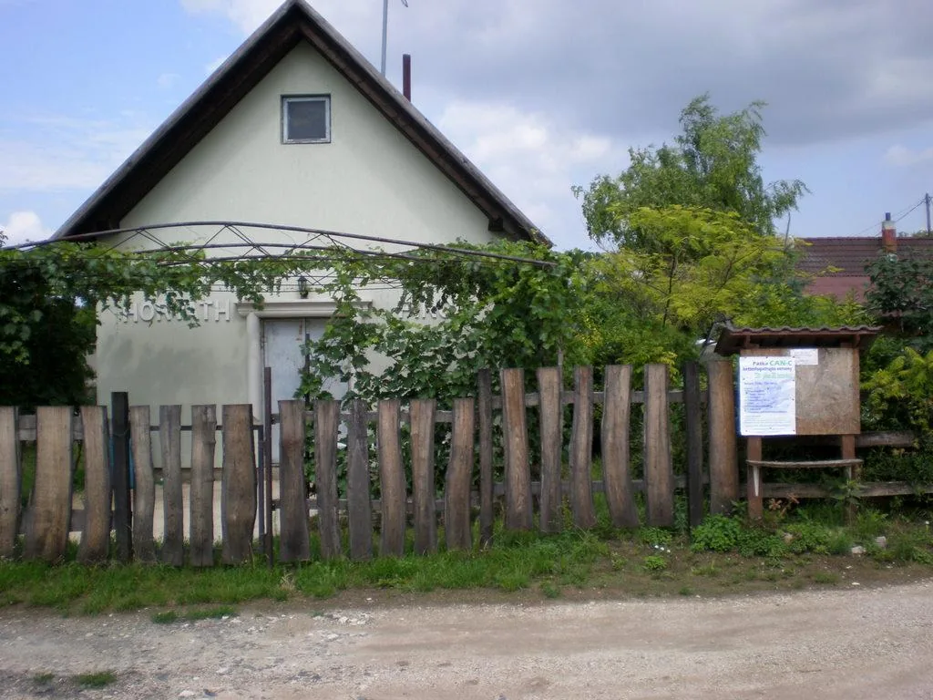 Szőlőhegy Fotók