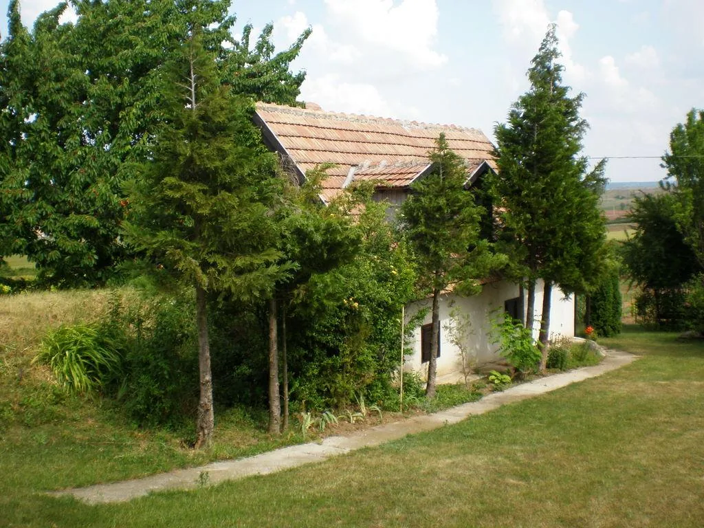 Szőlőhegy Fotók
