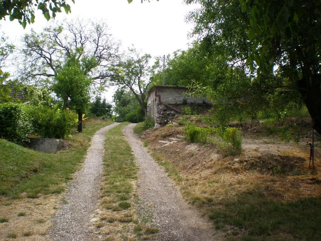 Szőlőhegy Fotók